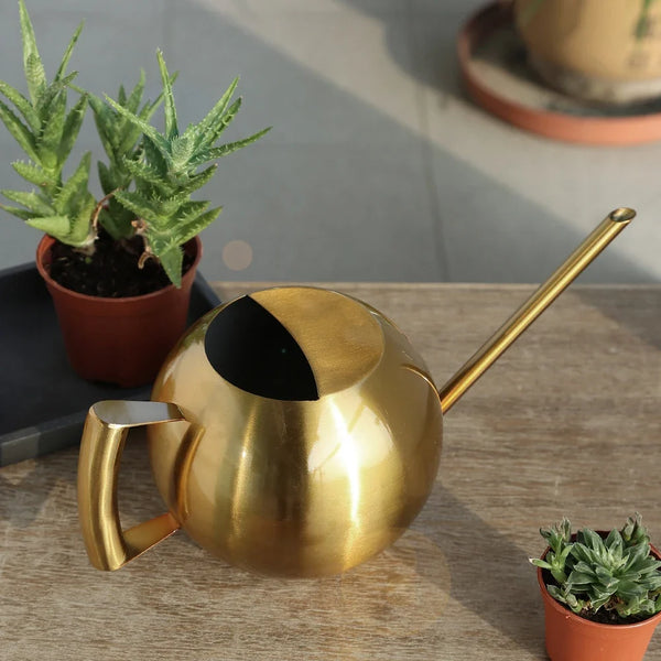 Minimalist Stainless Steel Plant Watering Can Indoor Garden Essentials