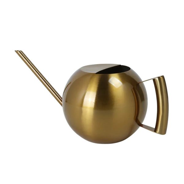 Minimalist Stainless Steel Plant Watering Can Indoor Garden Essentials