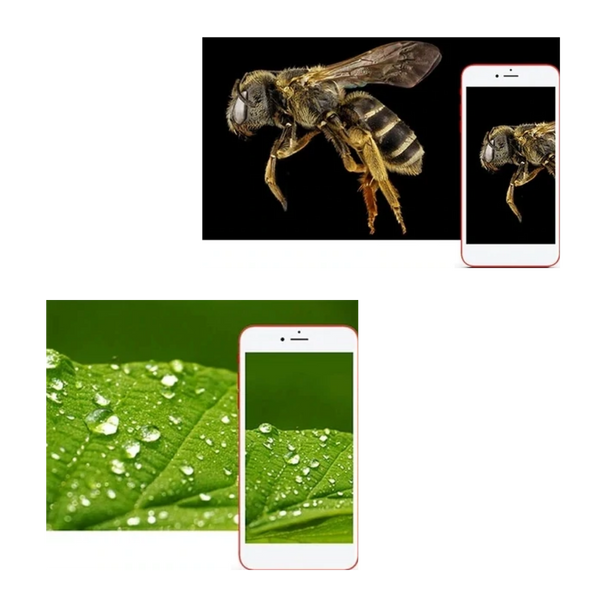 Portable USB Digital Microscope With Adjustable LEDs For High Magnification