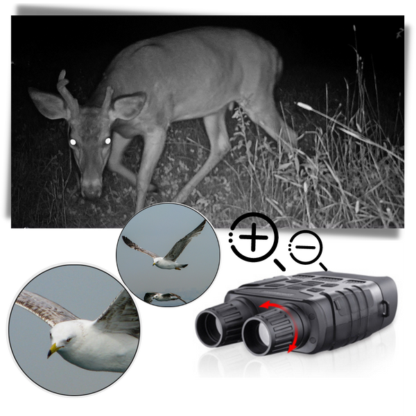 Night Vision Binoculars With LCD Display And 4X Zoom For Clear Night View