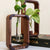 Hollow Plant Propagator Tool For Cloning Cuttings And Seed Starts