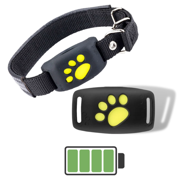 Pet GPS Tracking Collar With Real Time Location Alerts And Waterproof