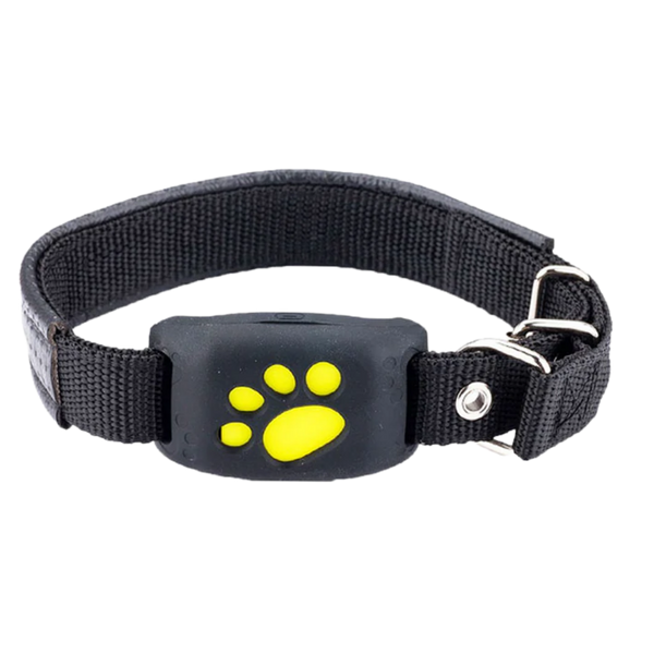 Pet GPS Tracking Collar With Real Time Location Alerts And Waterproof