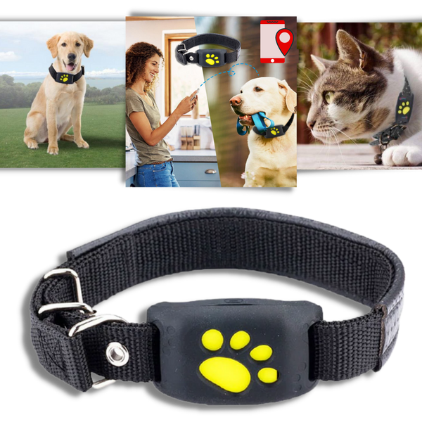 Pet GPS Tracking Collar With Real Time Location Alerts And Waterproof