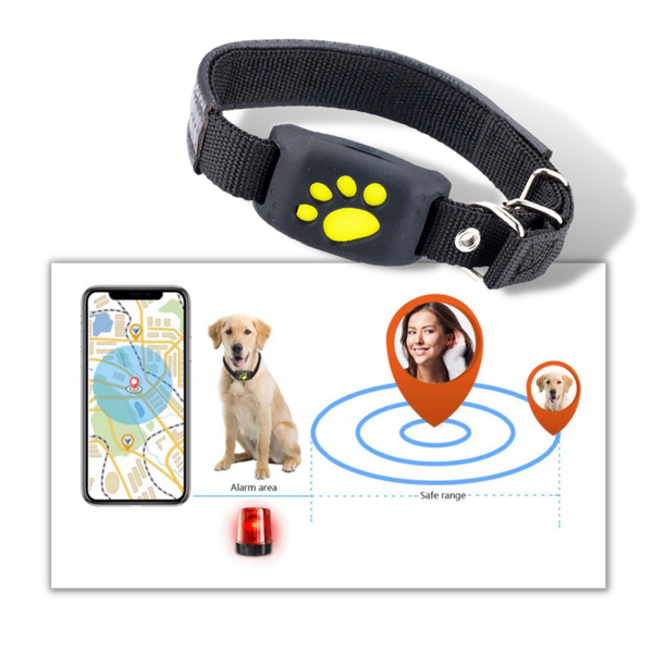 Pet GPS Tracking Collar With Real Time Location Alerts And Waterproof