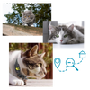 Pet GPS Tracking Collar With Real Time Location Alerts And Waterproof