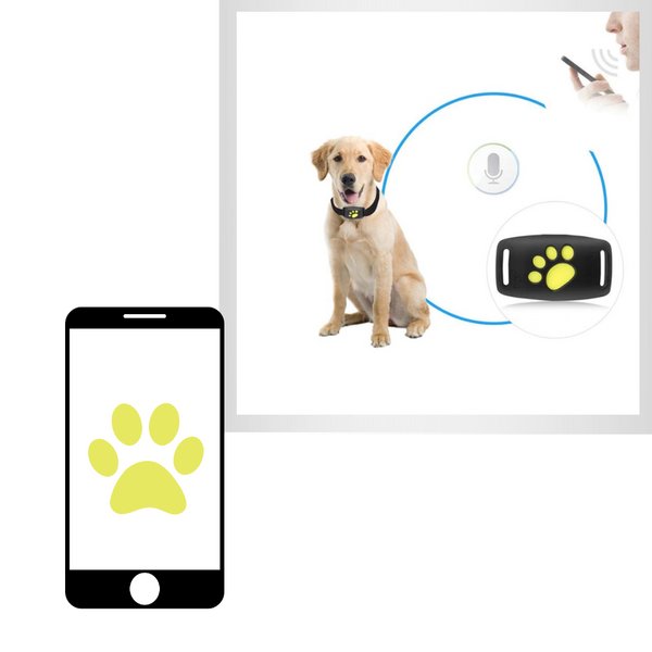 Pet GPS Tracking Collar With Real Time Location Alerts And Waterproof