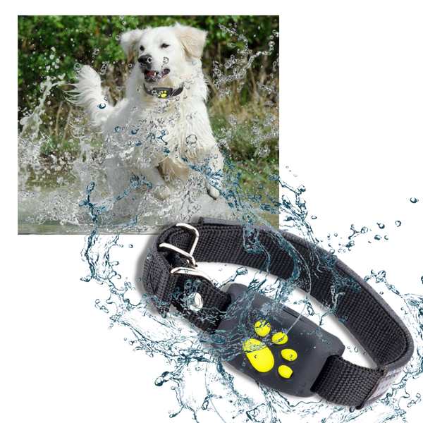 Pet GPS Tracking Collar With Real Time Location Alerts And Waterproof
