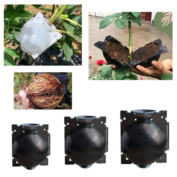 Set Of 3 Air Layering Plant Boxes For Healthy Root Growth