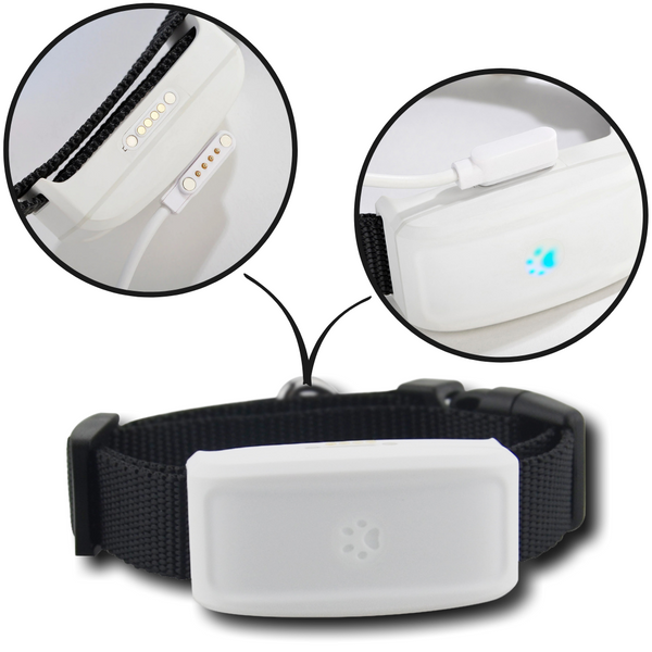 Real-Time GPS Pet Collar With Waterproof Build And Geo-Fence Alerts