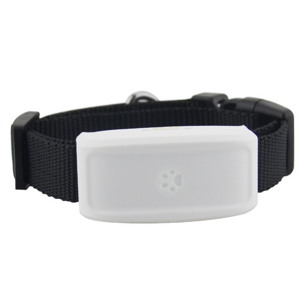 Real-Time GPS Pet Collar With Waterproof Build And Geo-Fence Alerts