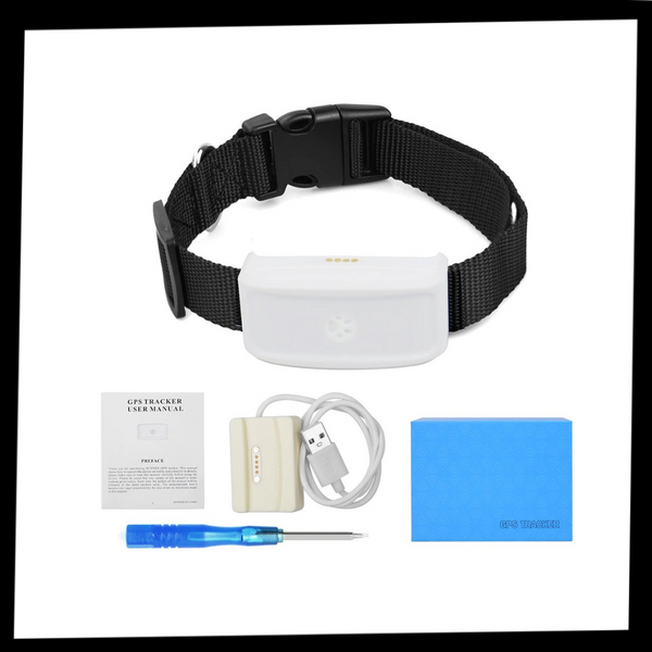 Real-Time GPS Pet Collar With Waterproof Build And Geo-Fence Alerts