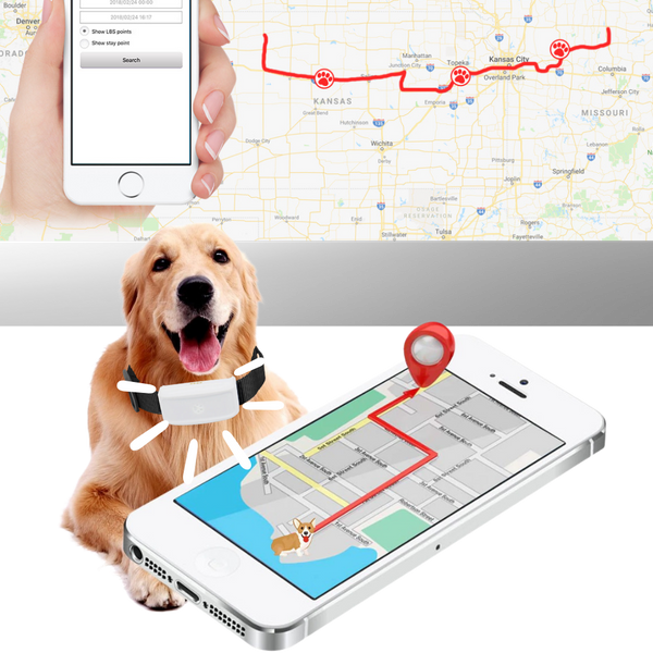 Real-Time GPS Pet Collar With Waterproof Build And Geo-Fence Alerts