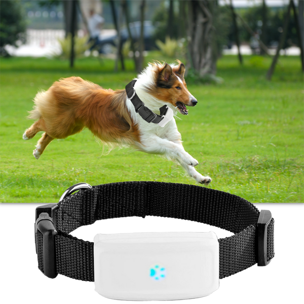 Real-Time GPS Pet Collar With Waterproof Build And Geo-Fence Alerts