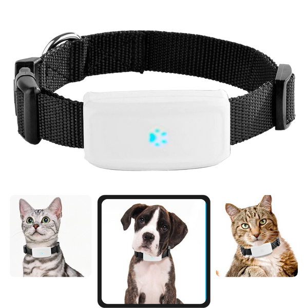 Real-Time GPS Pet Collar With Waterproof Build And Geo-Fence Alerts