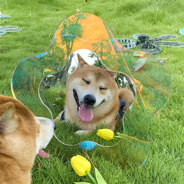 Rainbow Irregular Shapes Acrylic Mirror