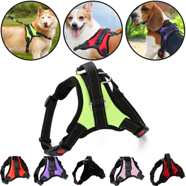 Saddle Style Reflective Dog Harness With Adjustable Straps