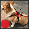 Saddle Style Reflective Dog Harness With Adjustable Straps