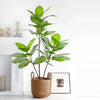 Realistic Faux Fig Branches With Leaves Indoor Outdoor Decor