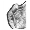Natural Rustic Tree Stump Canvas Wall Art With Tree Rings For Home Decor