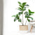 Realistic Faux Fig Branches With Leaves Indoor Outdoor Decor