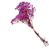 Natural Dried Baby's Breath For Wedding Floral Arrangements