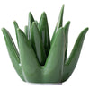 Agave Bloom Jewelry Dish