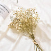 Natural Dried Baby's Breath For Wedding Floral Arrangements