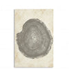 Elegant Tree Rings Abstract Canvas Wall Art For Modern Homes