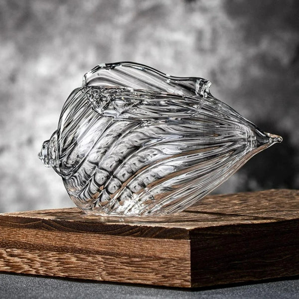 Conch Shell Drinking Glasses Two Piece Set Coastal Beach Inspired Drinkware