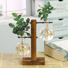 Modern Glass Vase With Wooden Stand For Tabletop Flower Arrangements