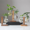 Modern Glass Vase With Wooden Stand For Tabletop Flower Arrangements