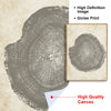 Elegant Tree Rings Abstract Canvas Wall Art For Modern Homes