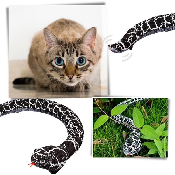 Snake Toy for Cats With Remote Control and Realistic Movement