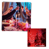 Smart App Controlled LED String Lights With USB Rechargeable Battery