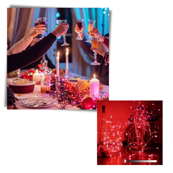 Smart App Controlled LED String Lights With USB Rechargeable Battery
