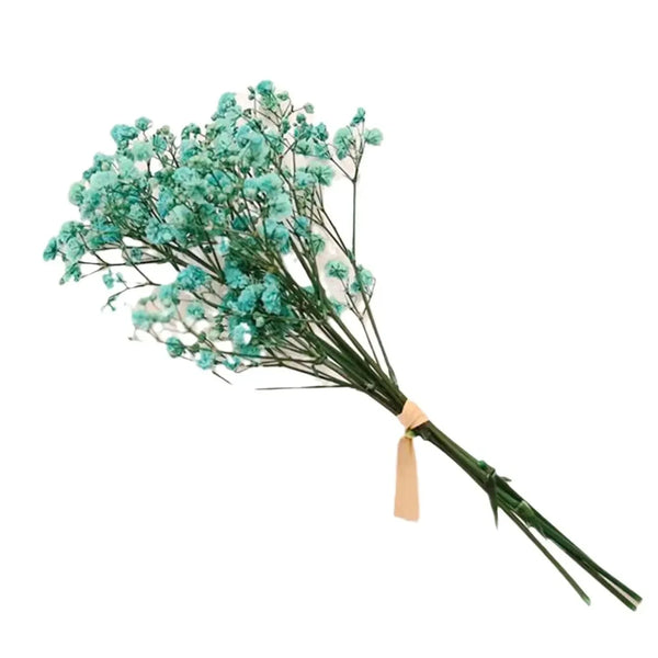 Natural Dried Baby's Breath For Wedding Floral Arrangements