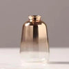 Modern Gradient Decorative Vase for Elegant Home Table Centerpiece