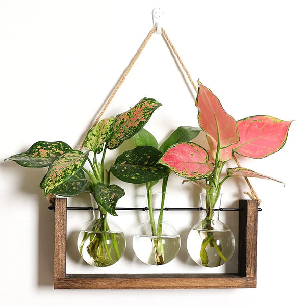 Transparent Plant Propagating Stand For Modern Indoor Gardens