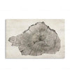 Elegant Tree Rings Abstract Canvas Wall Art For Modern Homes