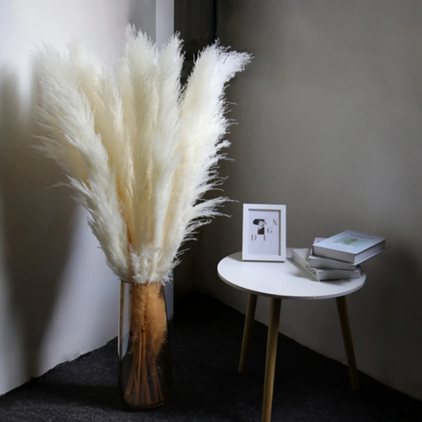 Dried Pampas Grass Plumes 10 Piece Set Natural Elegant Home Decor