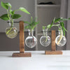 Modern Glass Vase With Wooden Stand For Tabletop Flower Arrangements