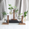 Modern Glass Vase With Wooden Stand For Tabletop Flower Arrangements