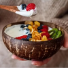 Handmade Coconut Shell Bowl And Spoon Set For Natural Kitchen Serving