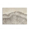 Elegant Tree Rings Abstract Canvas Wall Art For Modern Homes