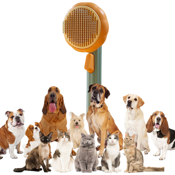Pumpkin Shaped Self Cleaning Pet Grooming Brush With Pain Free Bristles