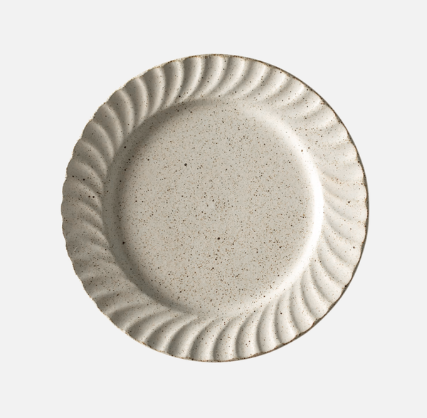 Texture Speckled Plate