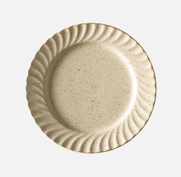 Texture Speckled Plate