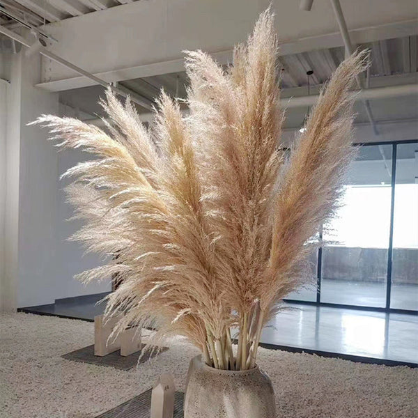 Dried Pampas Grass Plumes 10 Piece Set Natural Elegant Home Decor