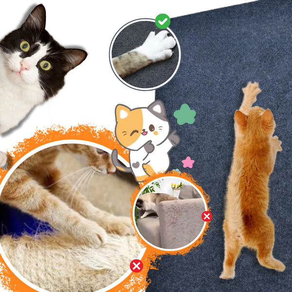 Adhesive Wall Mount Cat Scratch Pad For Furniture Protection